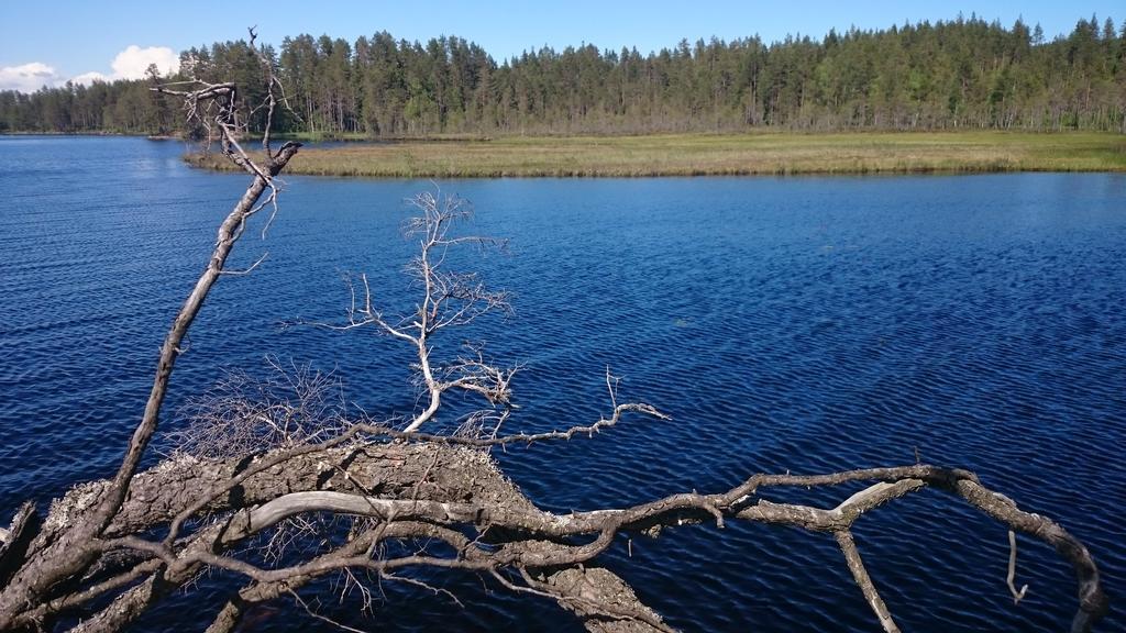 GustavsstromVakantiehuis Lillstugan I Sverige别墅 外观 照片